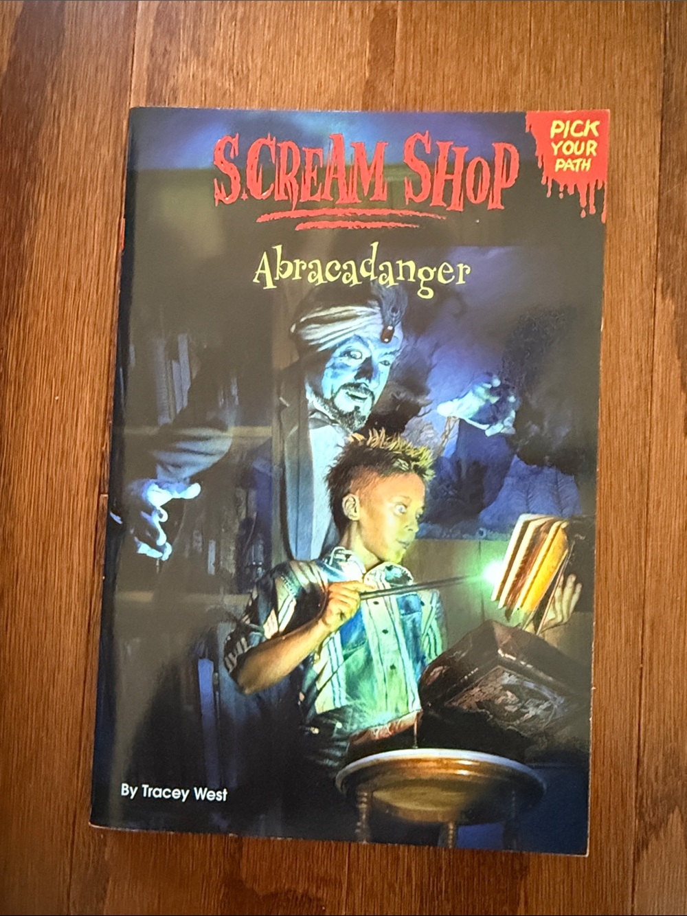 Scream Shop Abracadanger Tracey West Vintage 2003 Pick Your Path Book #1